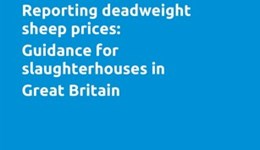 Guidance for slaughterhouses in Great Britain on reporting deadweight sheep prices
